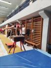 Gimnasticarke (11)